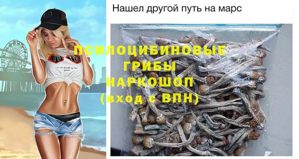 ПСИЛОЦИБИНОВЫЕ ГРИБЫ Белокуриха
