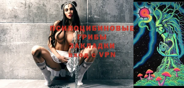 ПСИЛОЦИБИНОВЫЕ ГРИБЫ Белокуриха