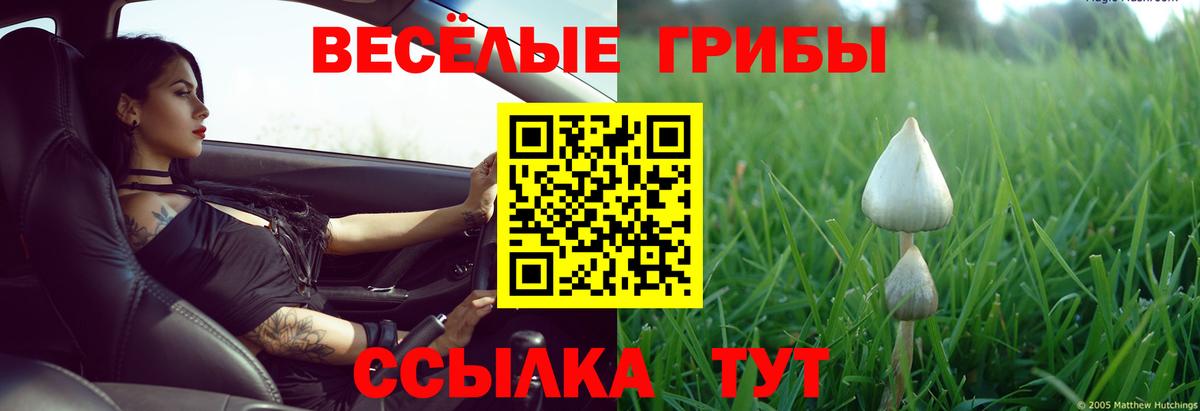 Псилоцибиновые грибы ЛСД Бутурлиновка